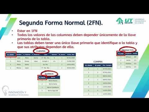 tipos base de datos